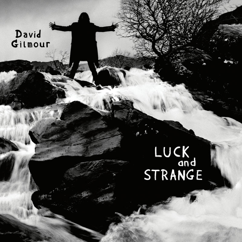 Gilmour David - Luck And Strange (Vinile Nero) | Vinile