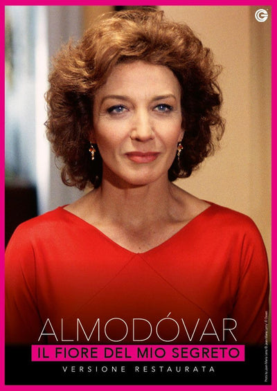 Film - Il Fiore Del Mio Segreto | DVD