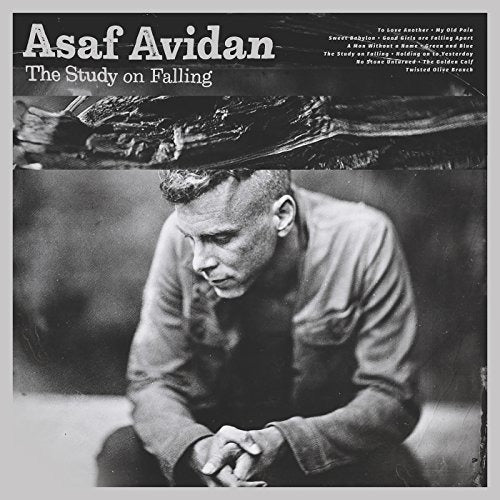 Avidan Asaf - The Study Of Falling | Vinile