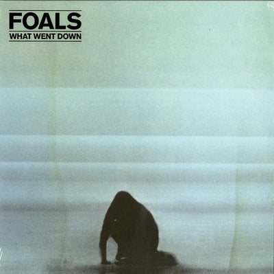 Foals - What Went Down | Vinile