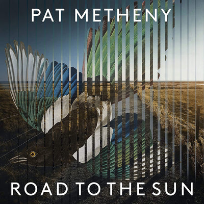 Metheny Pat - Road To The Sun | Vinile