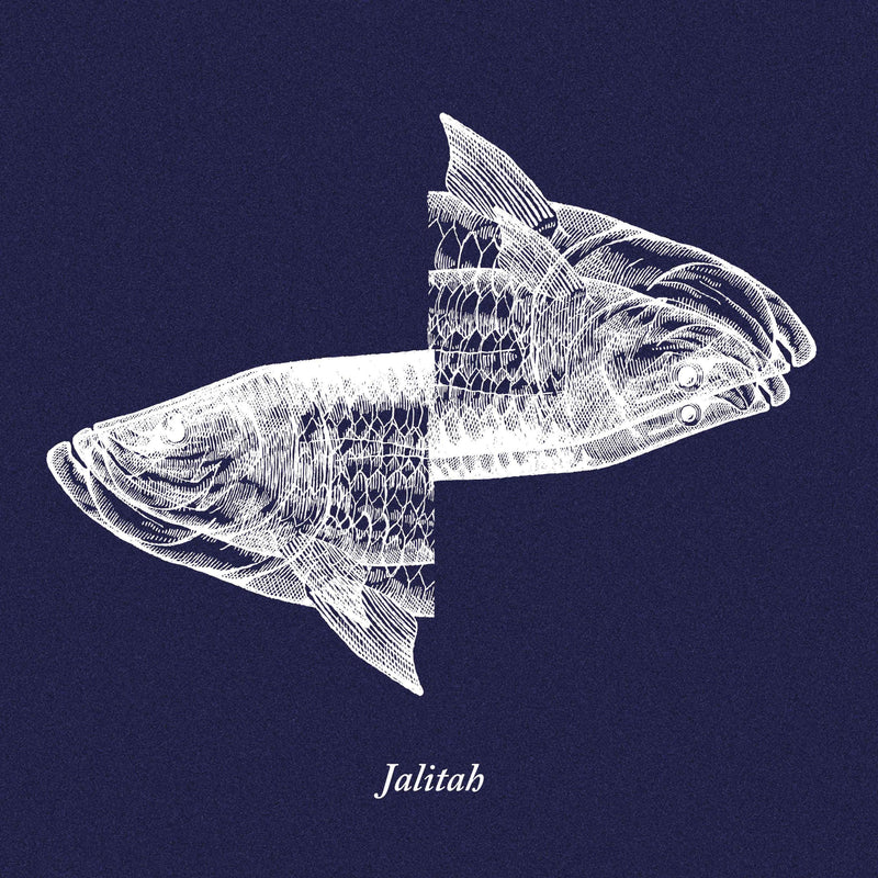 Iosonou Ncane - Jalitah | CD