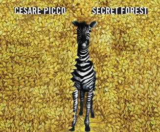 Picco Cesare - Cesare Picco-Secret Forest  Cd | CD