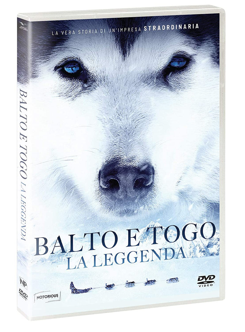 Film - Balto E Togo La Leggenda | DVD